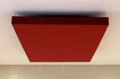Ceiling Panels