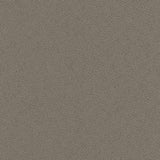 As-Is Pro Acoustic Panels <br>Starting At